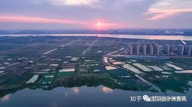 白沙洲最新消息，城市發(fā)展的脈搏與未來展望
