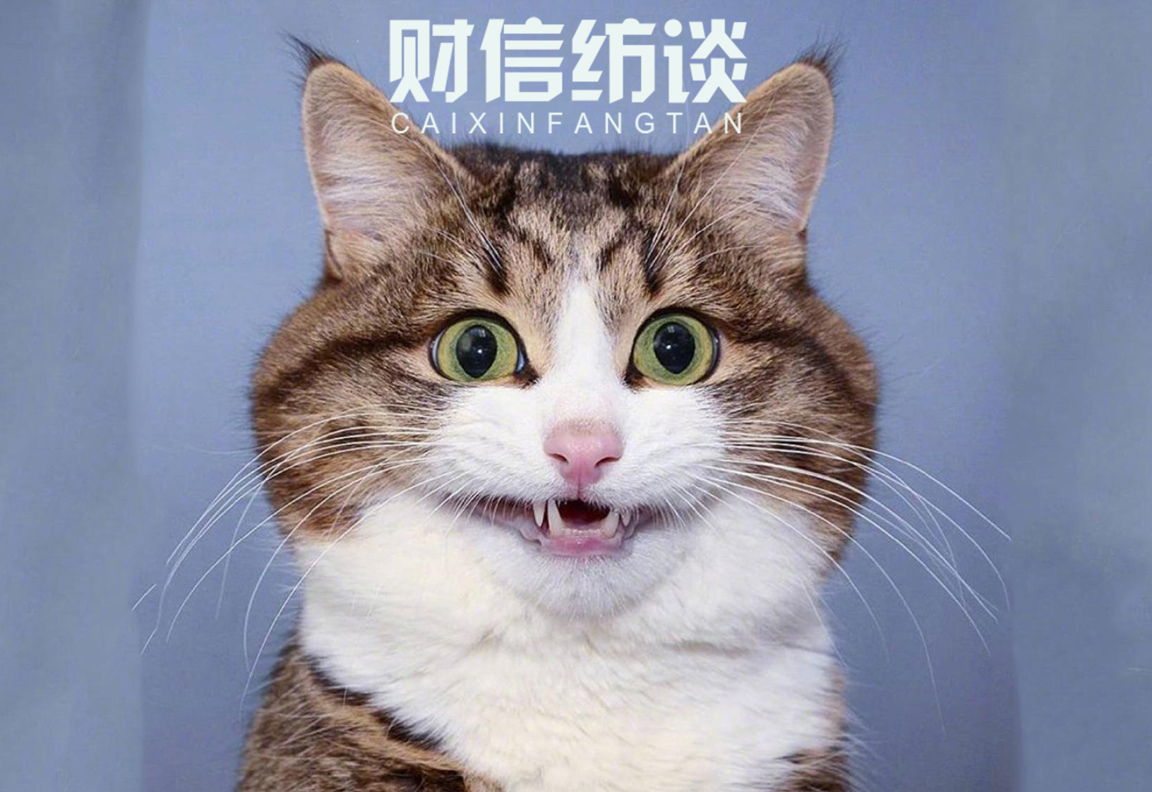 張晨思瑤 第3頁