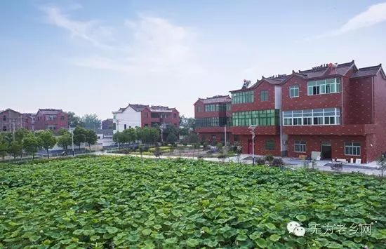 無為石澗最新消息，發(fā)展與變革的脈搏