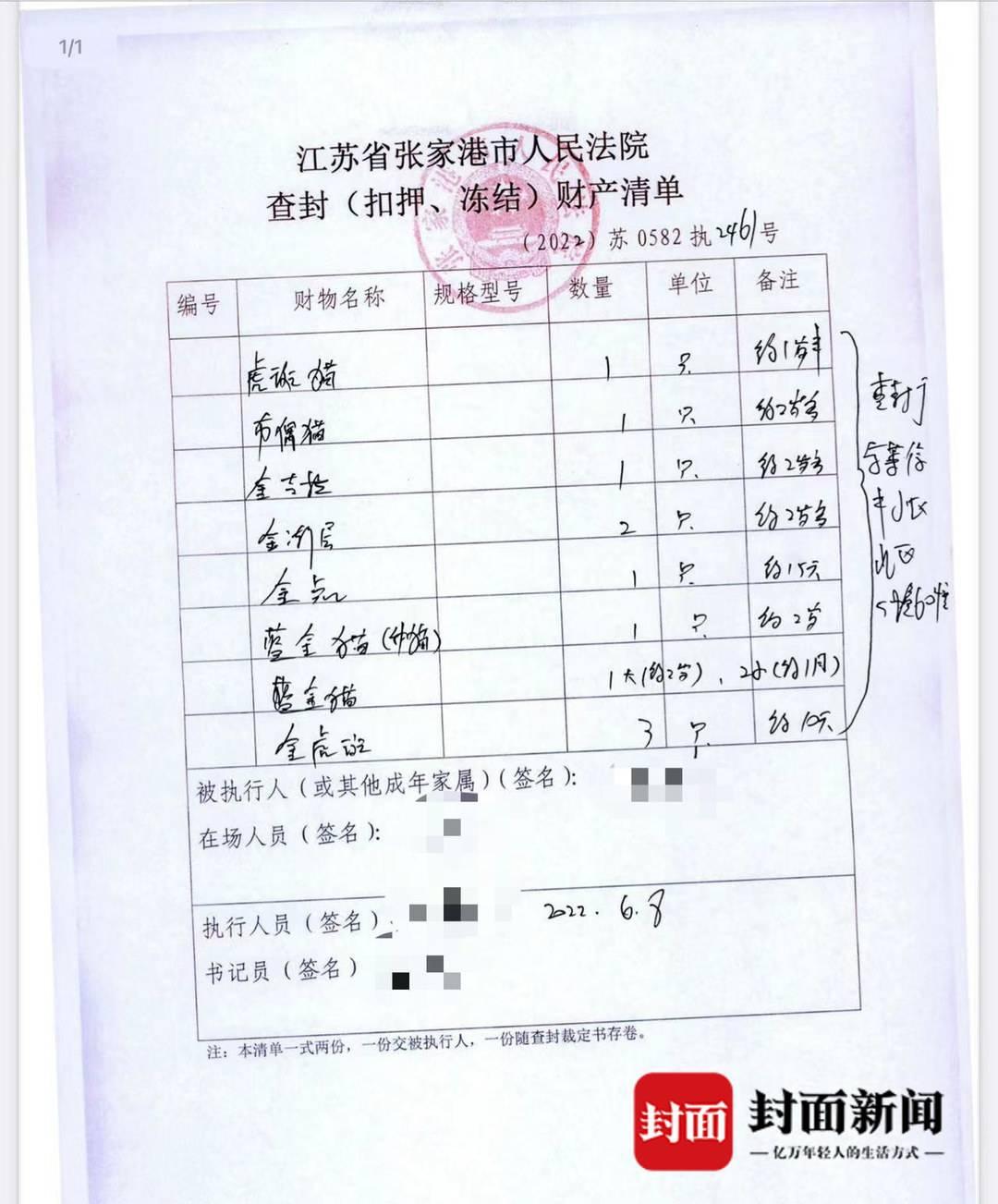 貓咪大戰(zhàn)爭最新破解版，游戲與法律的邊緣