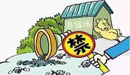 諸城禁養(yǎng)最新消息，全面解讀政策背景與影響