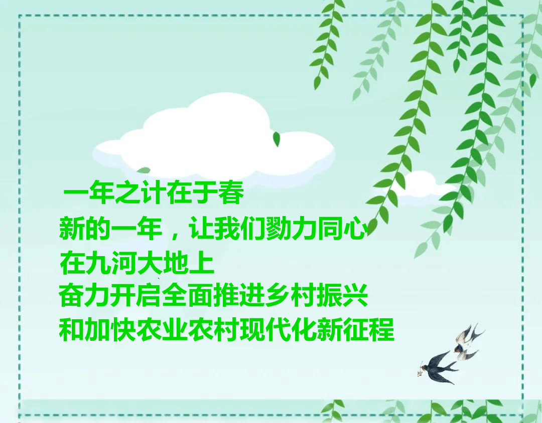 武漢飛喜樂最新消息，蓬勃發(fā)展的喜悅與未來展望