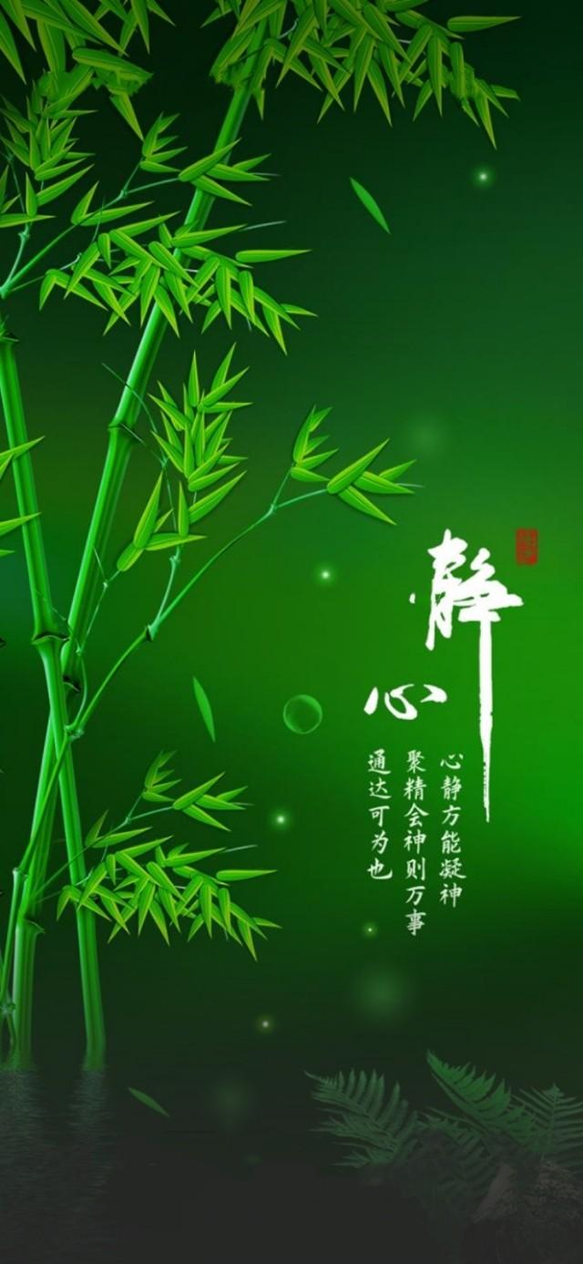 中國環(huán)保治理最新消息，邁向綠色發(fā)展的堅定步伐