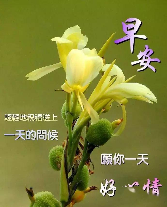 早安問候語，迎接美好的新一天——2017年最新問候語精選