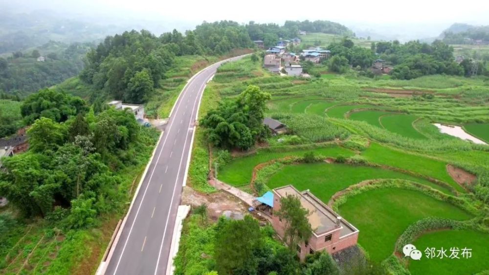 鄰水202省道最新動(dòng)態(tài)，邁向現(xiàn)代化交通建設(shè)的步伐穩(wěn)健前行