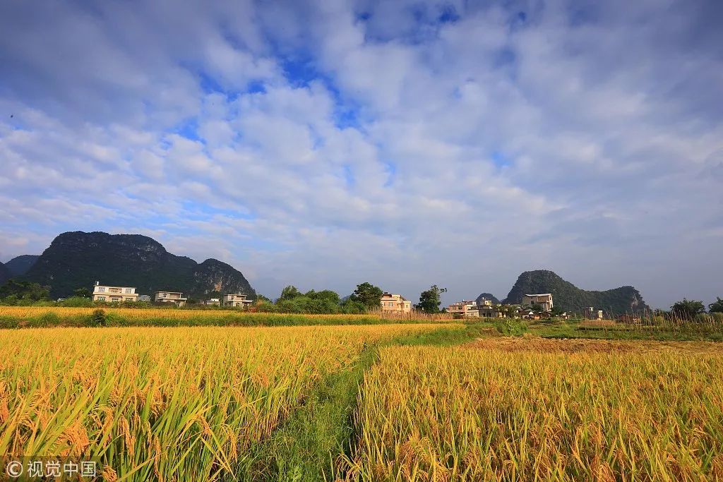 井岡山旅游上市最新動(dòng)態(tài)，發(fā)展機(jī)遇與挑戰(zhàn)并存