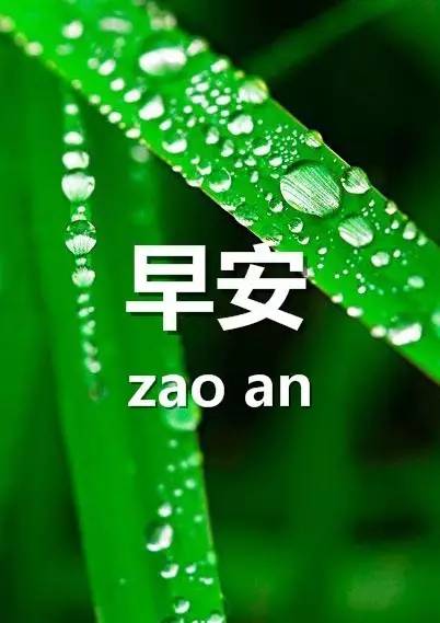最新早安問候語微信，開啟美好一天的溫馨問候