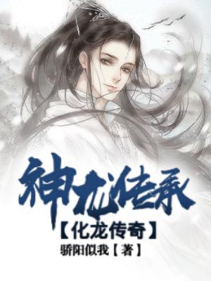 九轉(zhuǎn)神龍?jiān)E最新更新，神秘力量的覺醒與探索