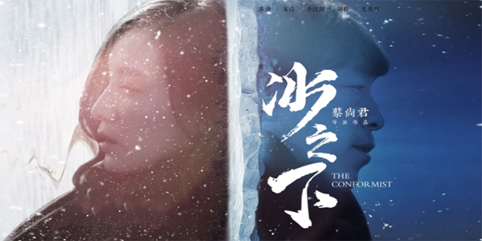 楚離余向晚最新章節(jié)，命運的交織與情感的碰撞