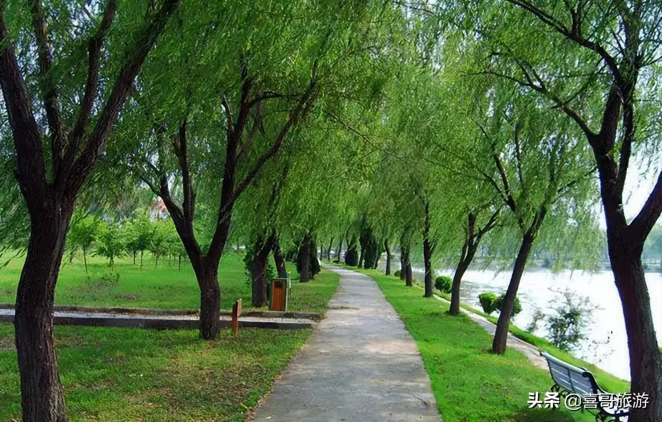 阜陽東方明珠最新動態(tài)，揭開發(fā)展新篇章的序幕