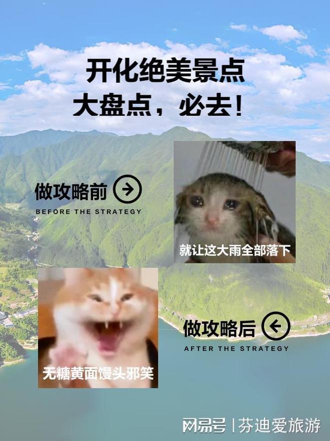 文德公園最新動態(tài)，一場自然與人文的交響樂章